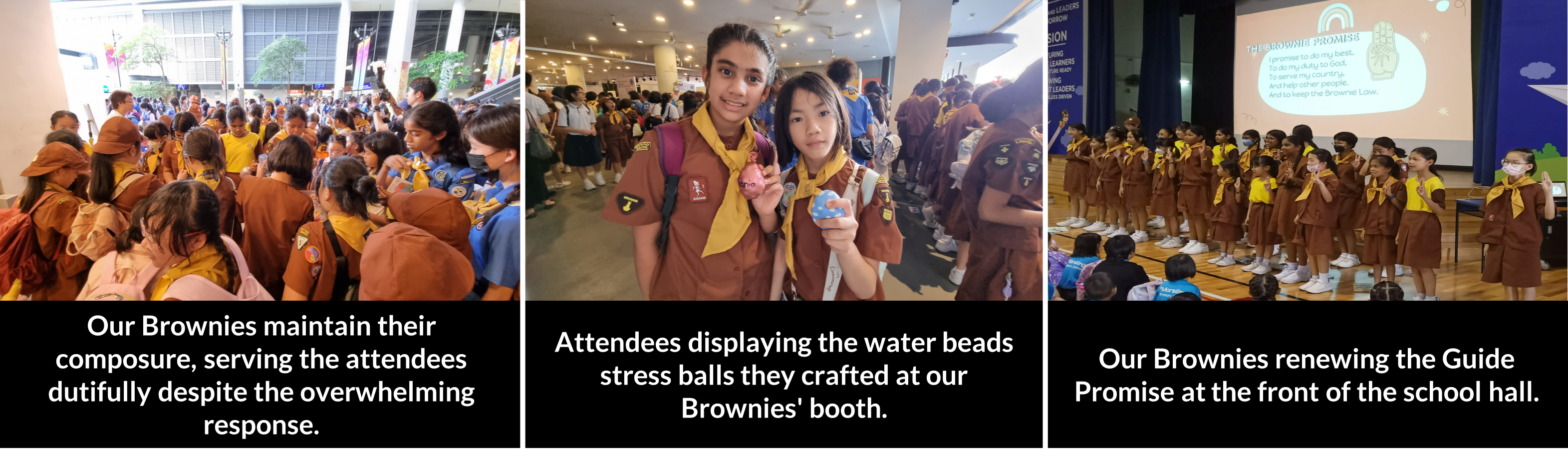 Brownies World Thinking Day (WTD)